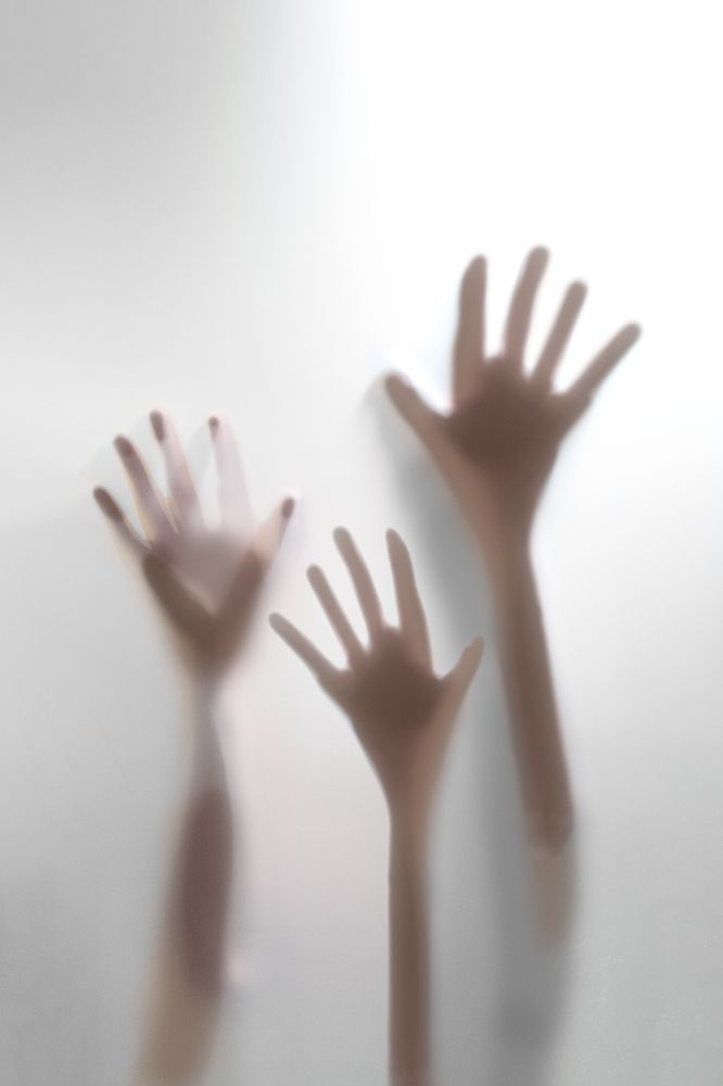 Фотография автора Ольга Афанасенко