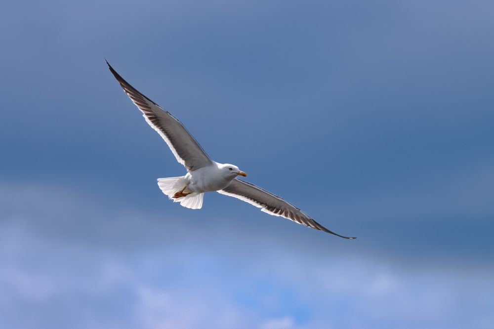 Photograph by Ангелина Высочина