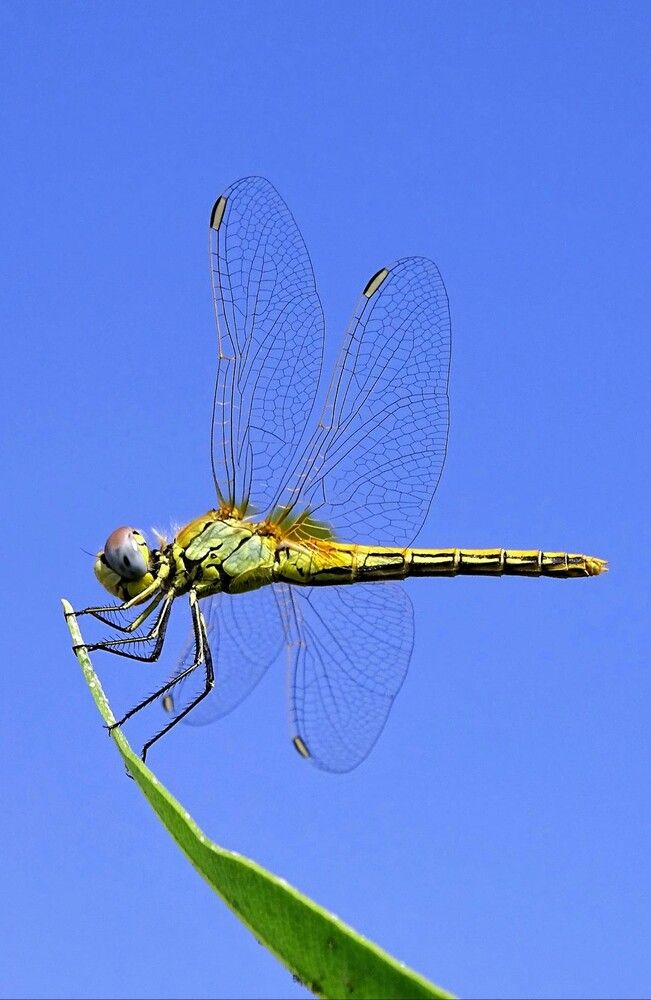 Photograph by cengiz pamuk