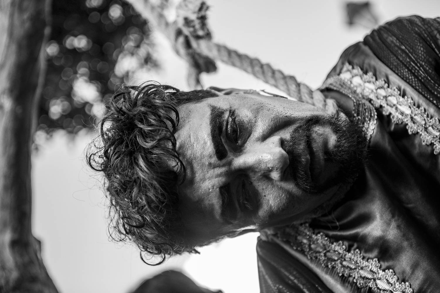 Фотография #12037642