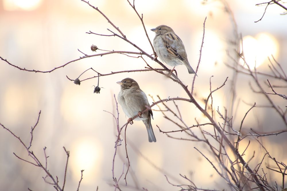 Photograph by Дмитрий Коновалов