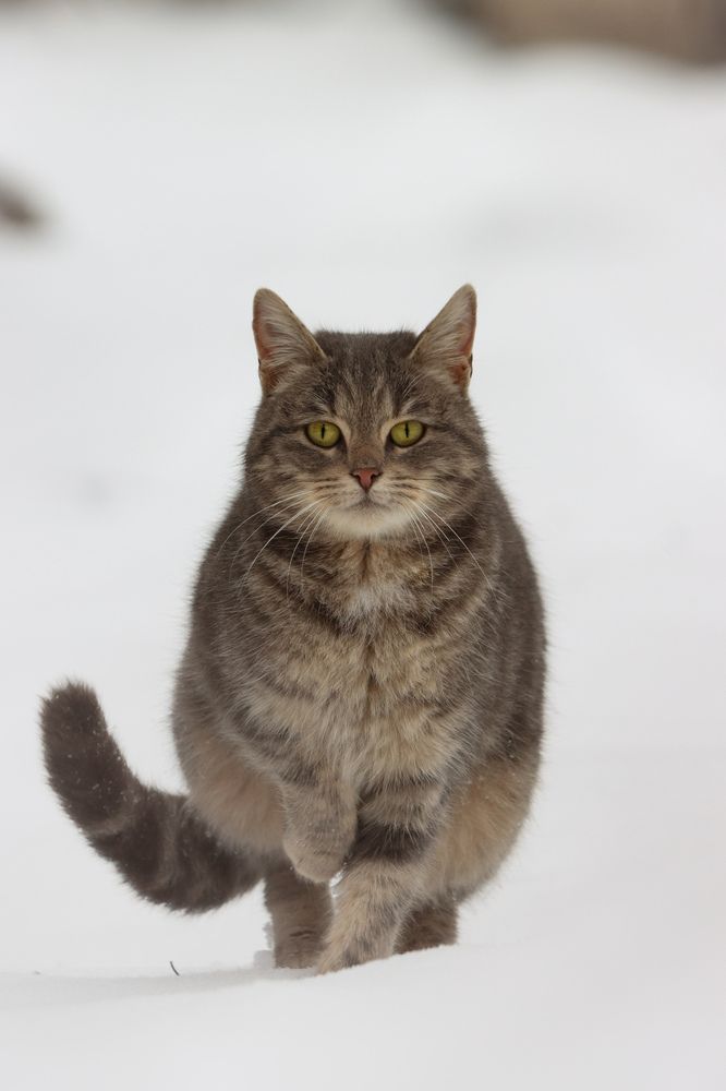 Photograph by Ангелина Высочина