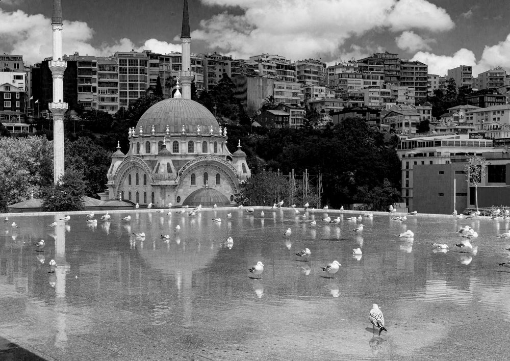 Фотография автора Elena Dzeravianka