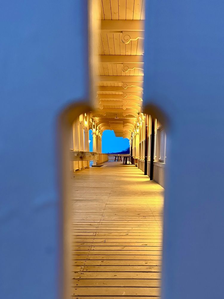 Photograph by Елена Докучаева