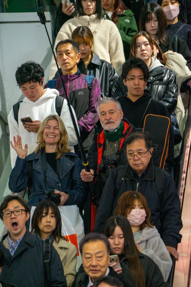 Фотография автора Ирина Зайцева