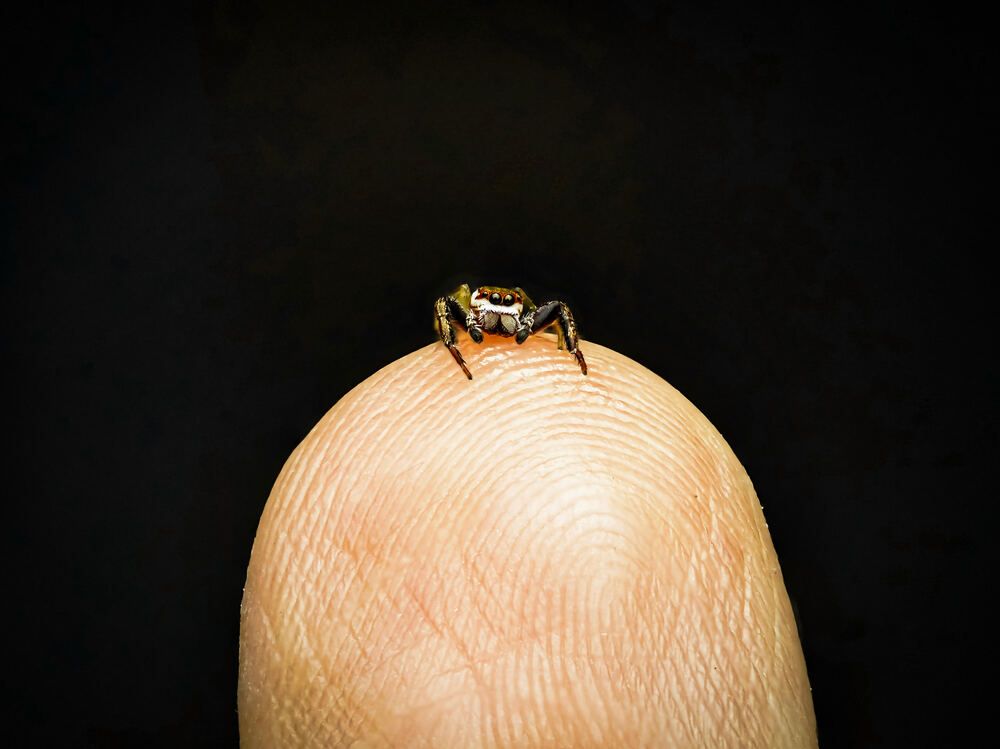 Photograph by MILTON H RUIZ CANTO