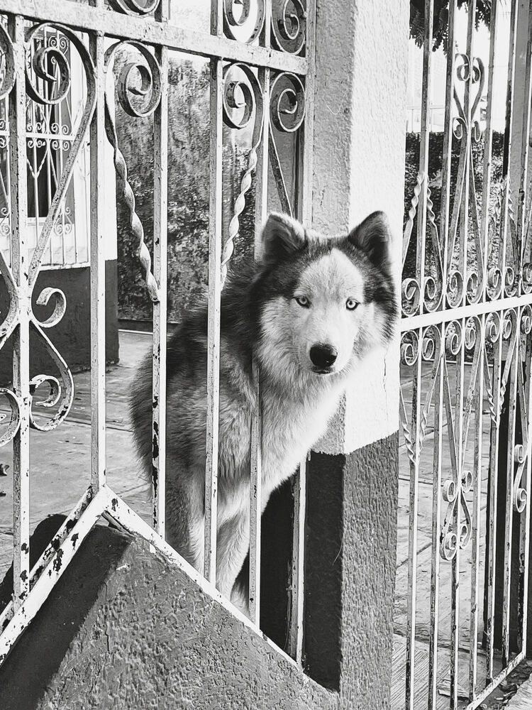 Photograph by MILTON H RUIZ CANTO