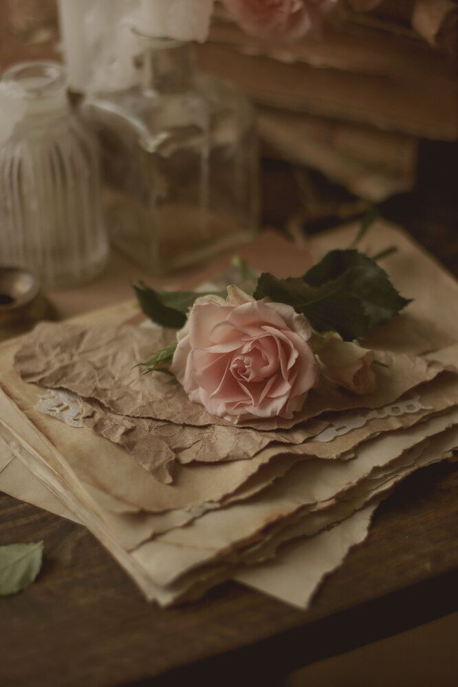 Photograph by Ирина Столбовая