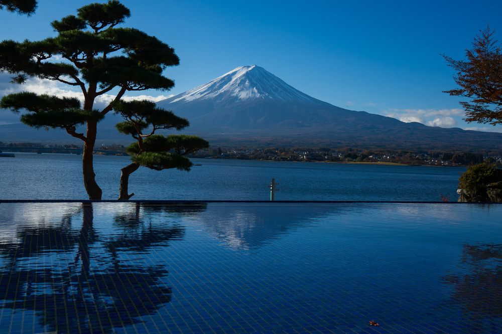 Фотография автора Ирина Зайцева
