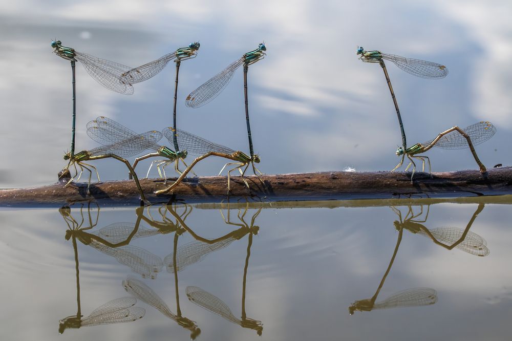 Геометрия любви