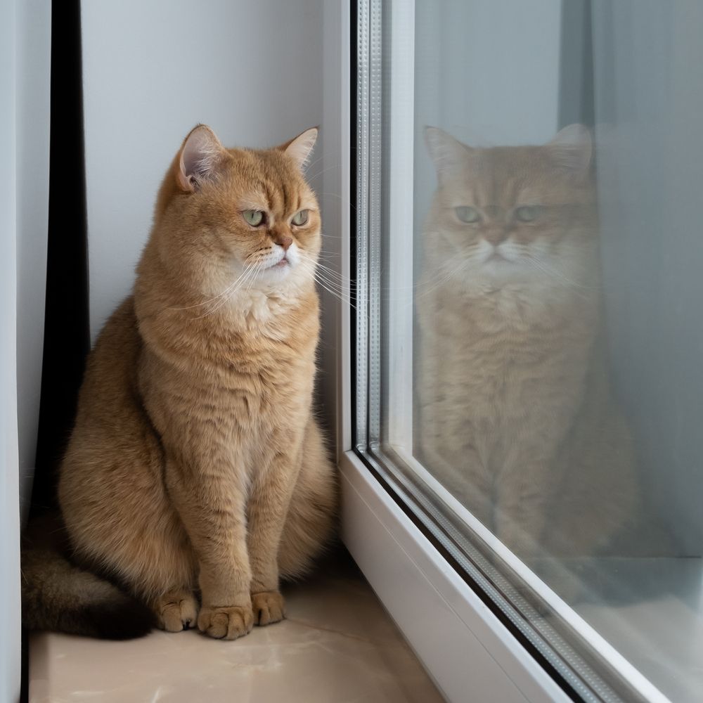 Photograph by Олег Дорошенко