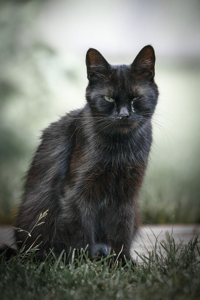 Photograph by Aleksandr Solovev