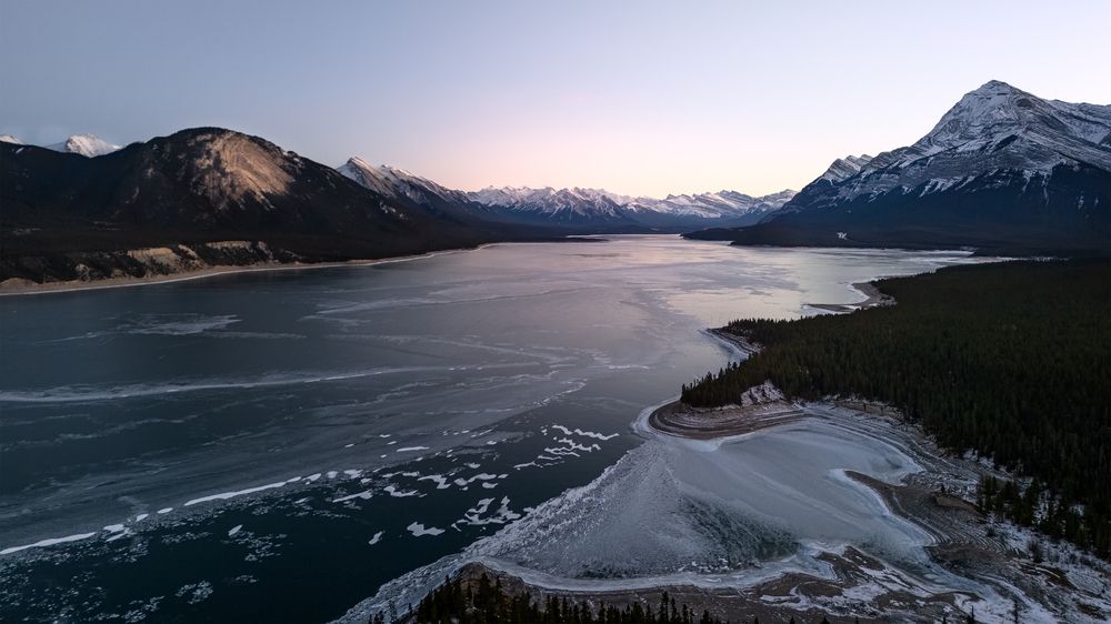 Фотография автора LI YAN DAI