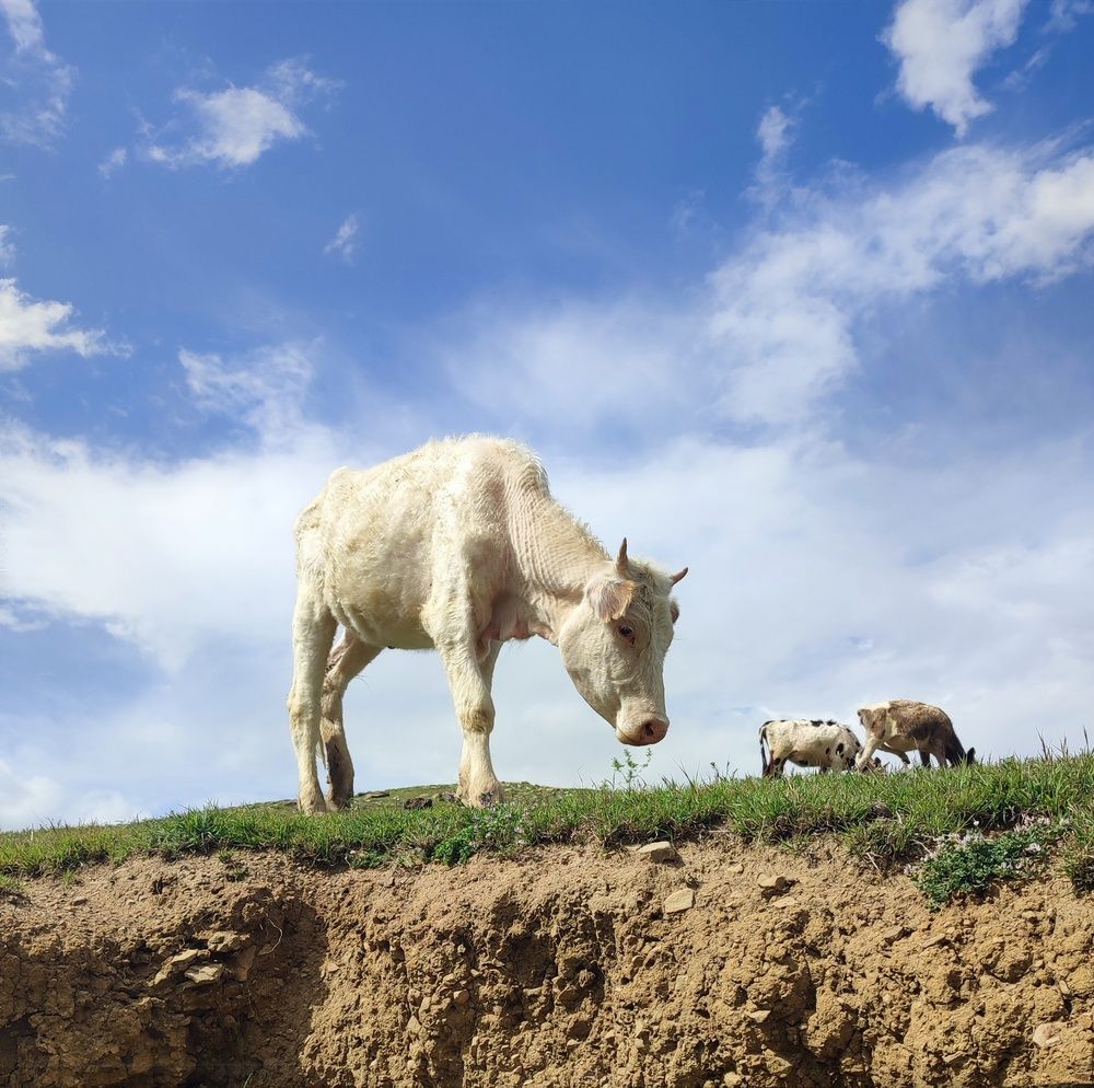 Photograph by Алеся Маклакова