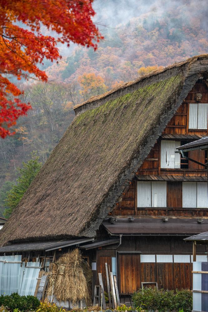 Сквозь время