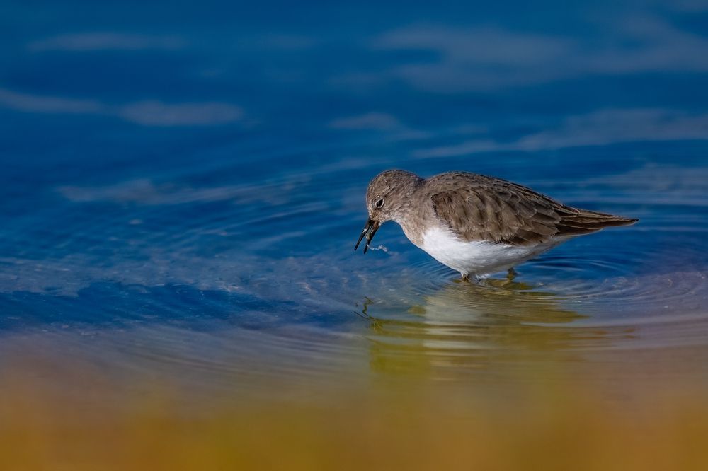 Photograph by DEEPA GIRISH