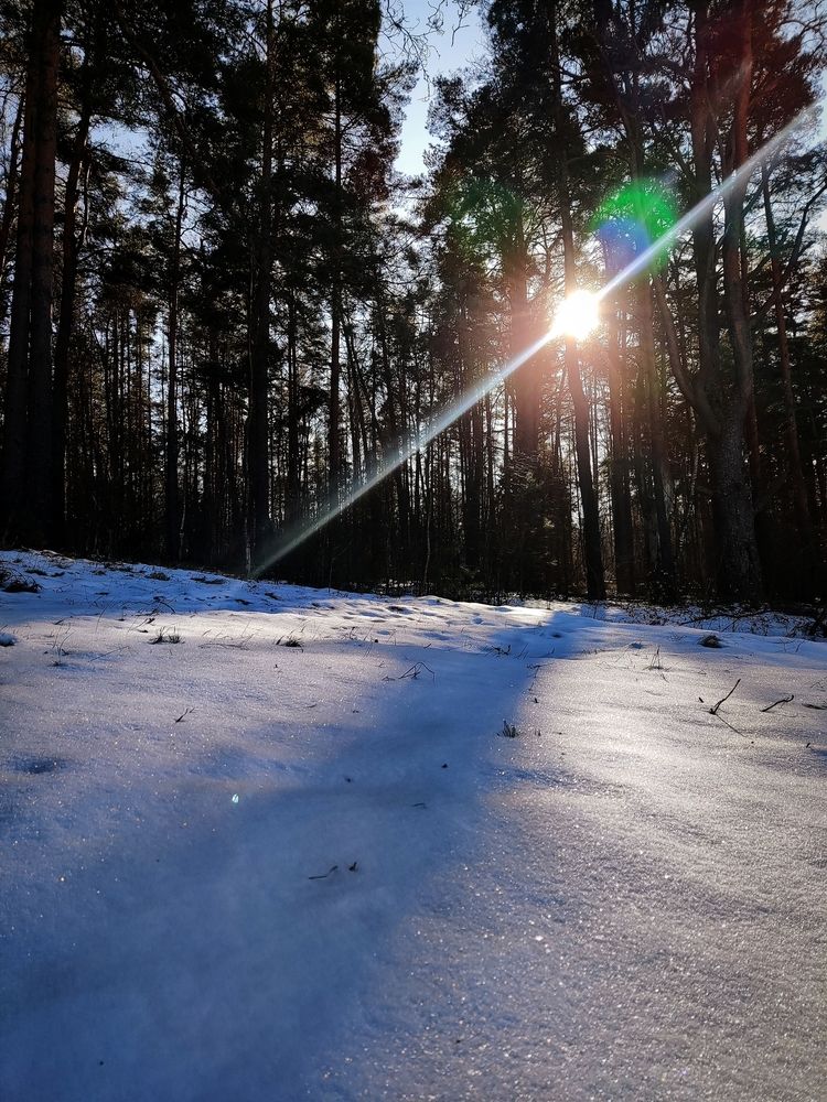 Photograph by Сергей Кулиев