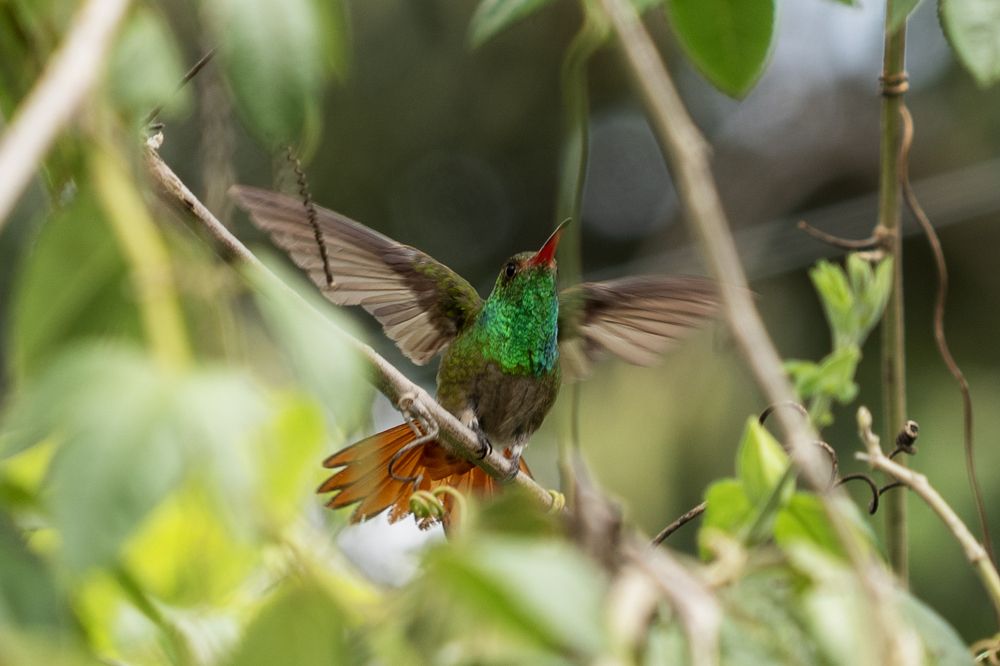 Photograph by Yinna Paola Higuera Bernal