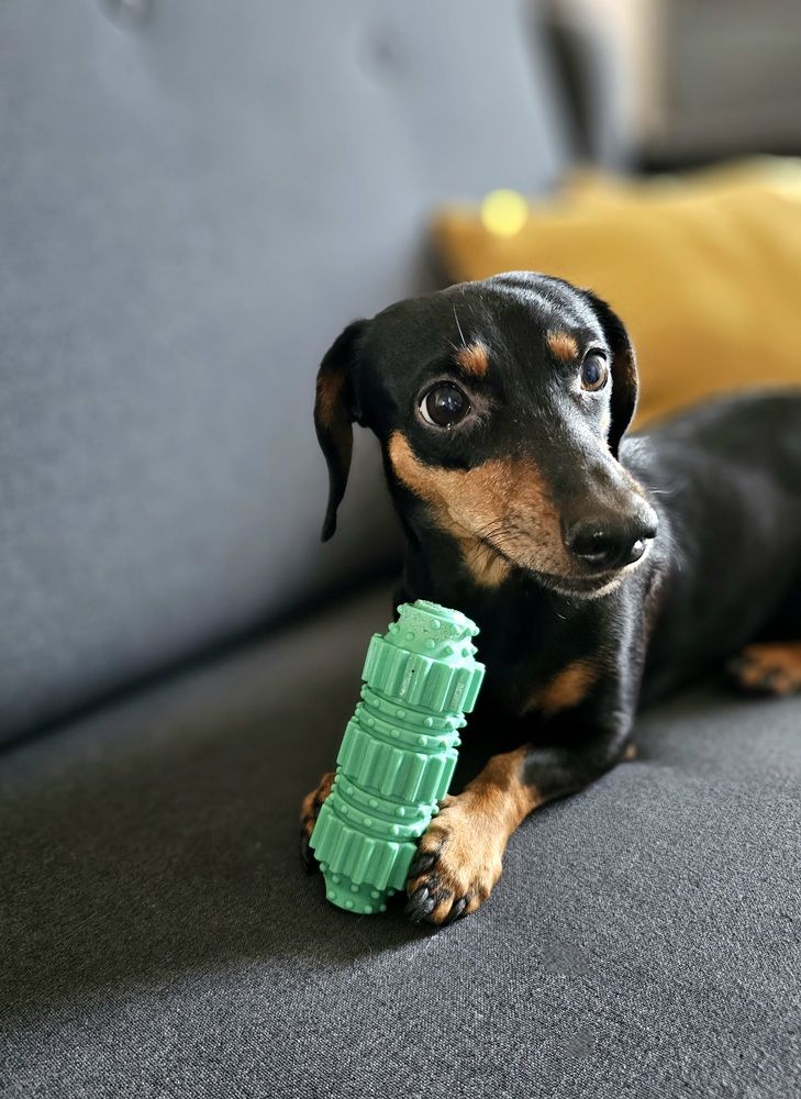 Photograph by Elena Neprosh