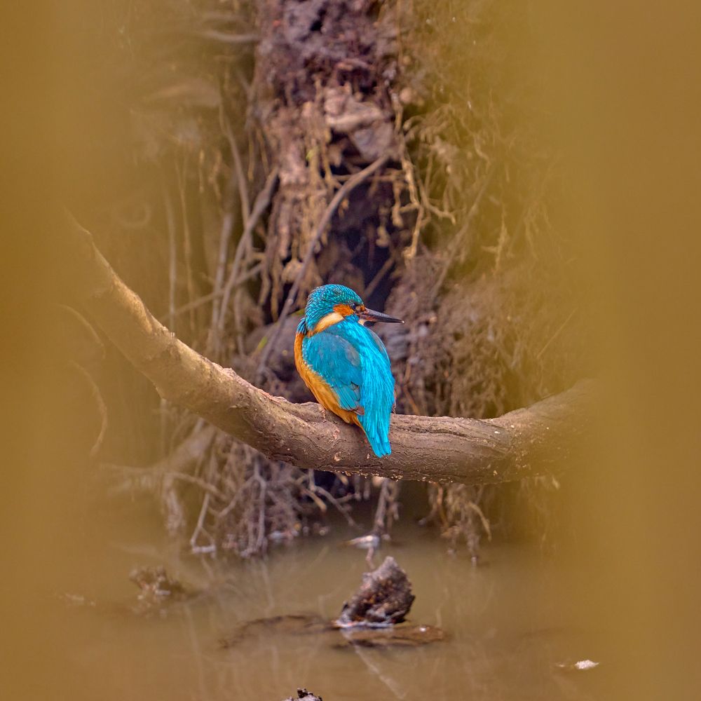 Photograph by Valery Zmachynski