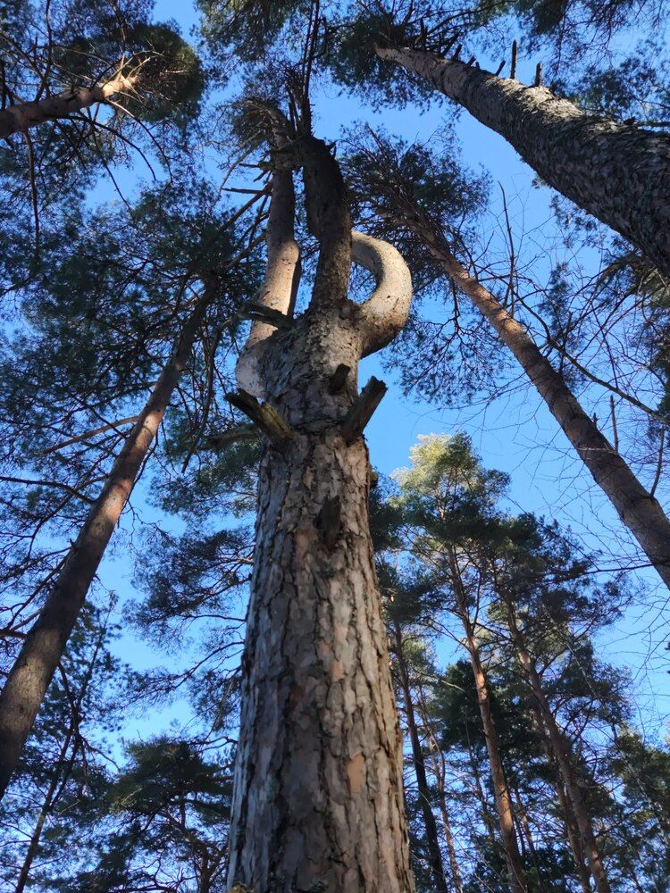 Photograph by Сергей Кулиев