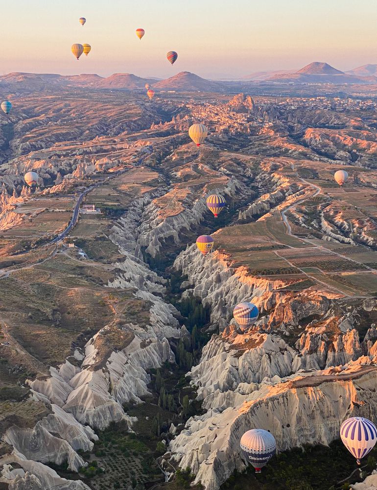 Фотография автора Вадим Жигулин