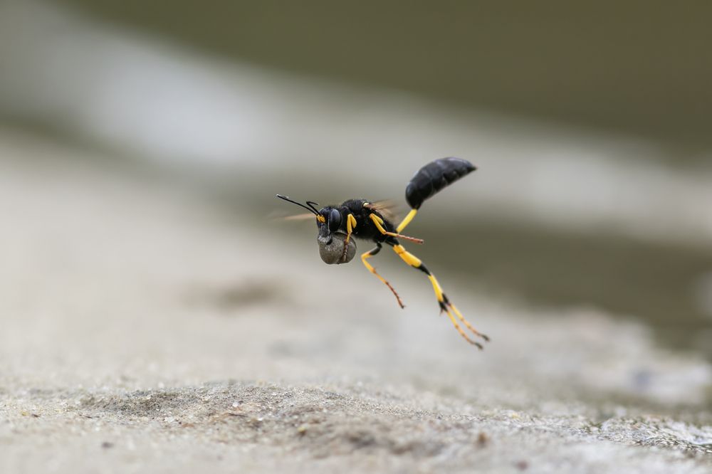 Photograph by Наталья