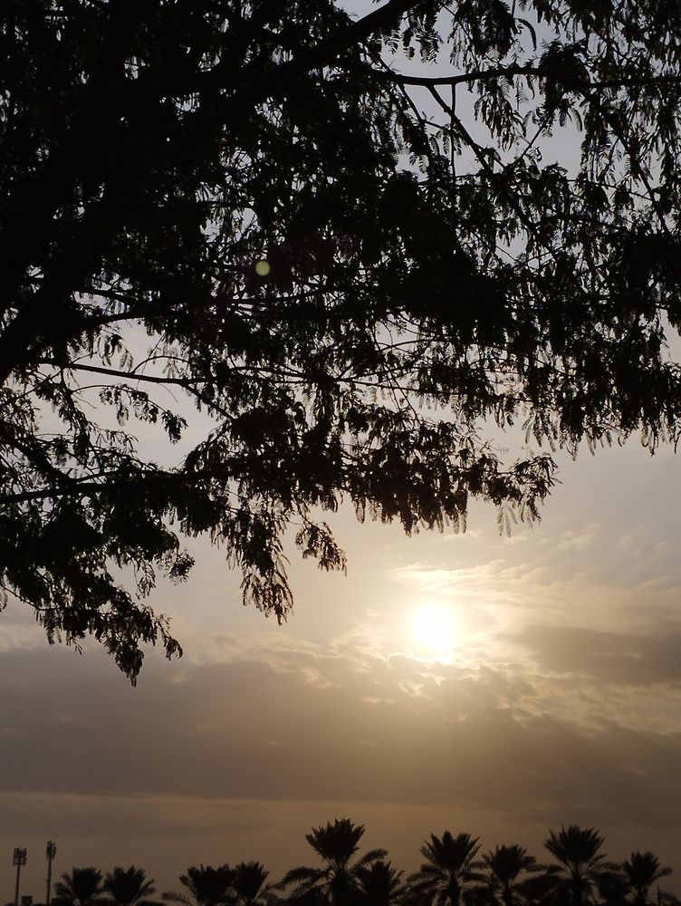 Фотография автора Wahib Ul Malik