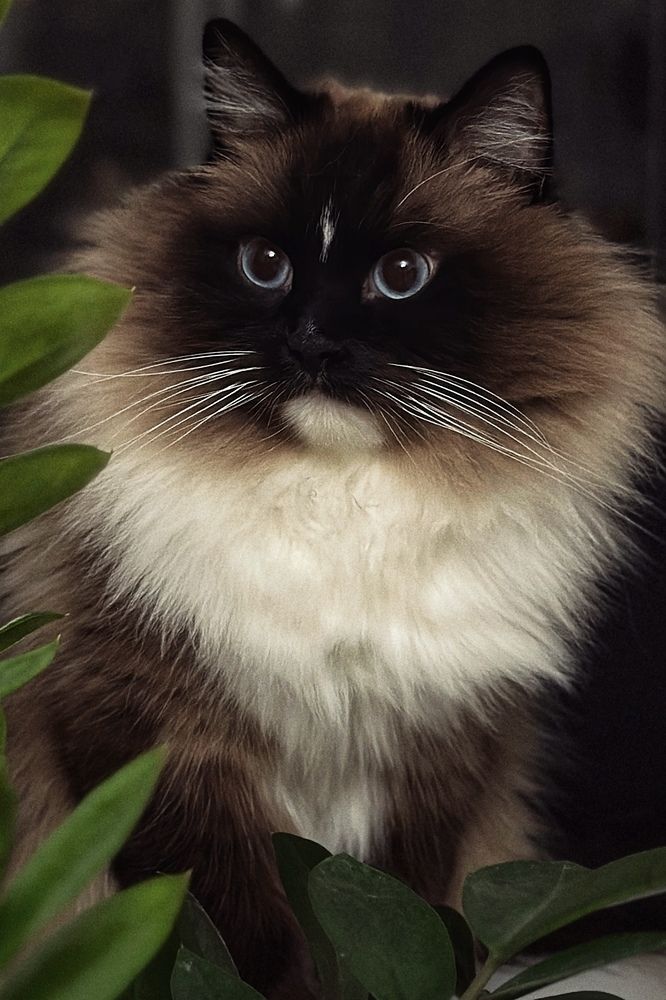 Photograph by Анна Акиншина