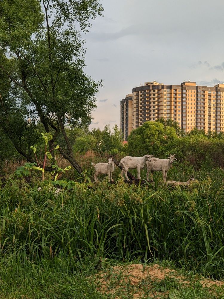 Photograph by Виталий Суслин