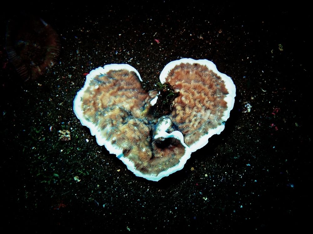 Photograph by Кирилл Леднев