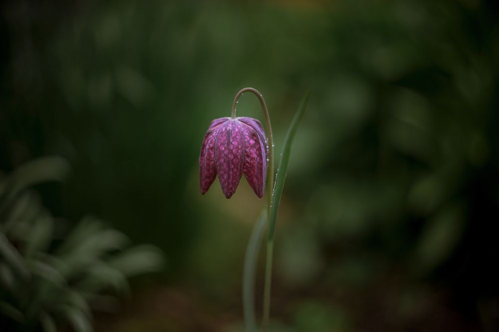 Photograph by Татьяна Антонюк