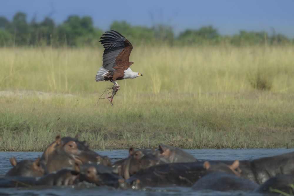 Photograph by Adi Badash