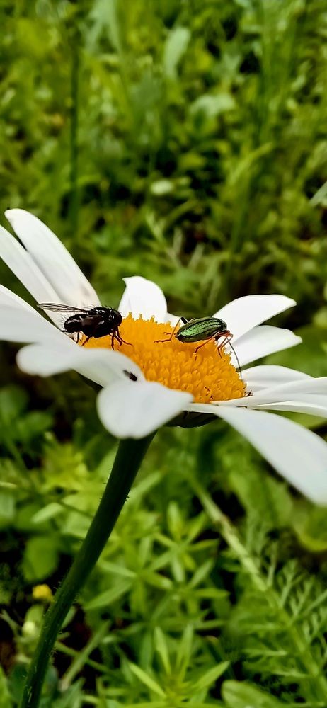 Photograph by Елена Воронова