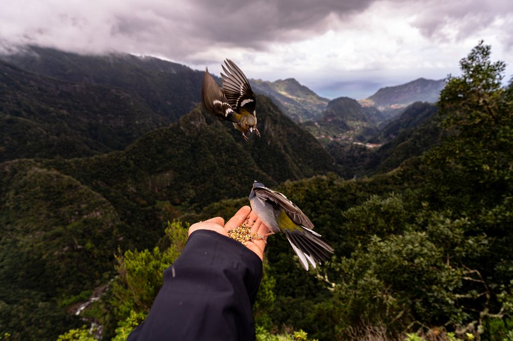 Photograph by Samuel Magnús