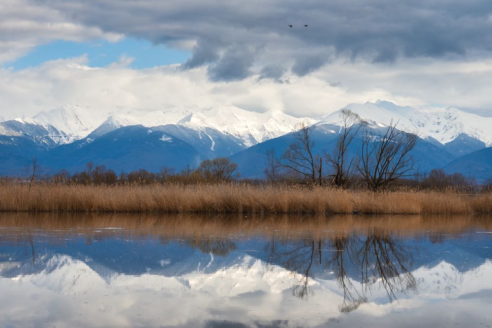 Фотография автора Bogdan Barbulescu