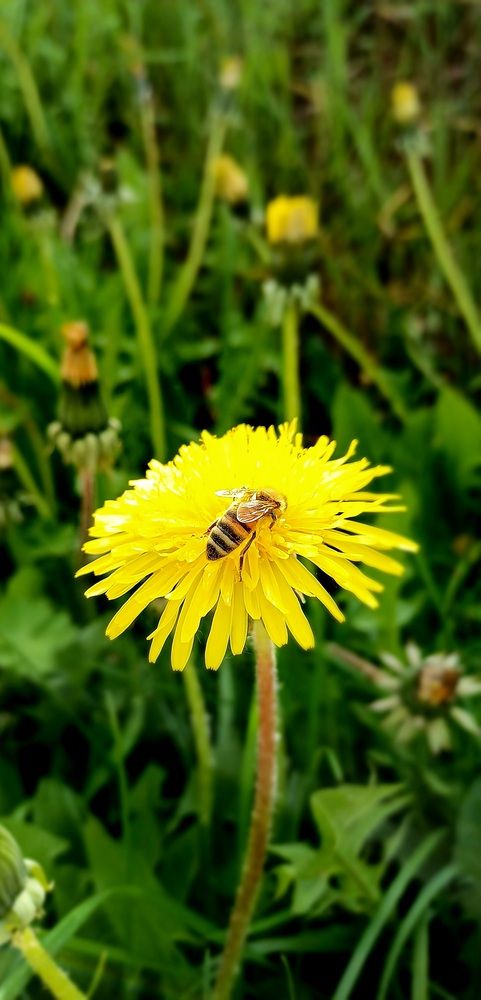 Photograph by Елена Воронова