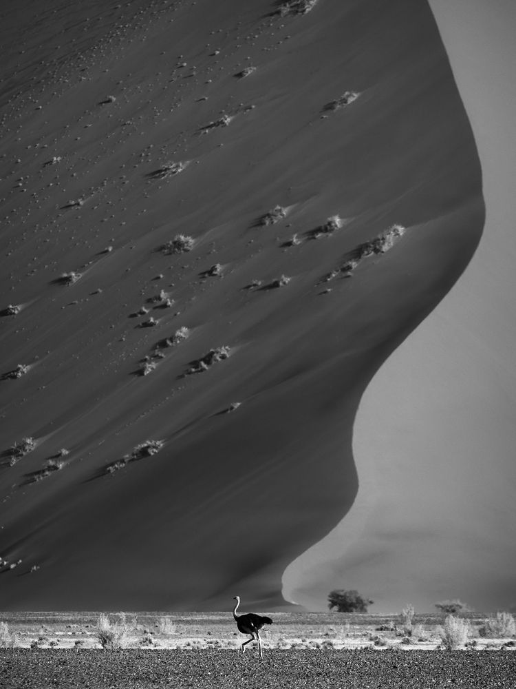 Photograph by Никита Шиндин