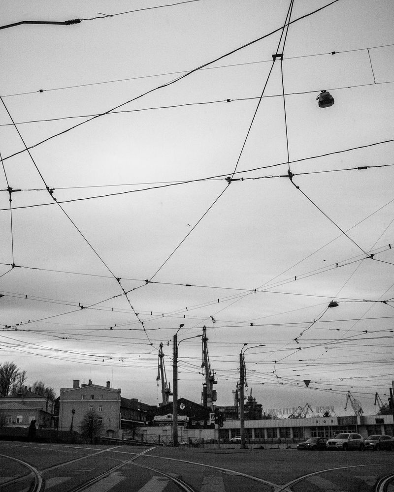 Photograph by Артем Бородин