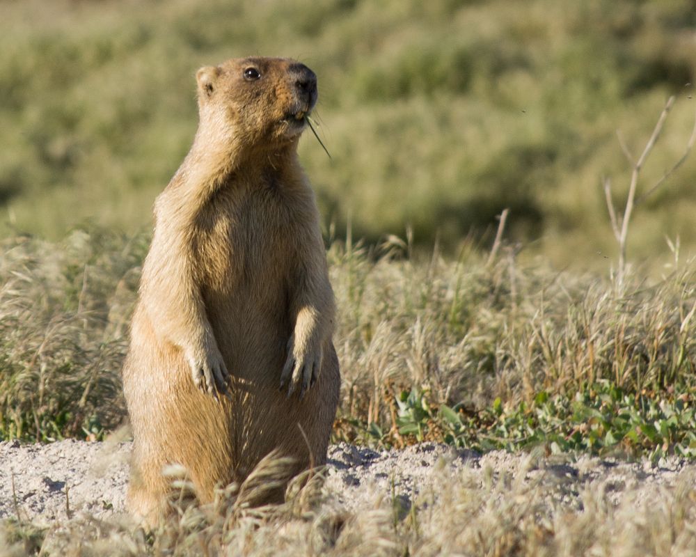 Photograph by Антон Руденко