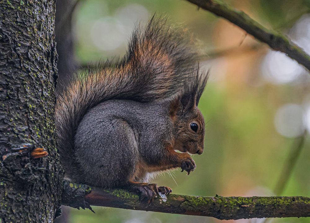 Photograph by Евгений Гонтов