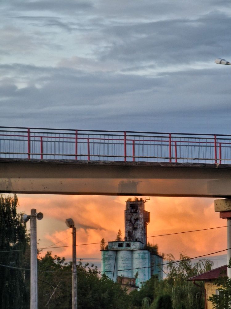 Photograph by Полина Галянина