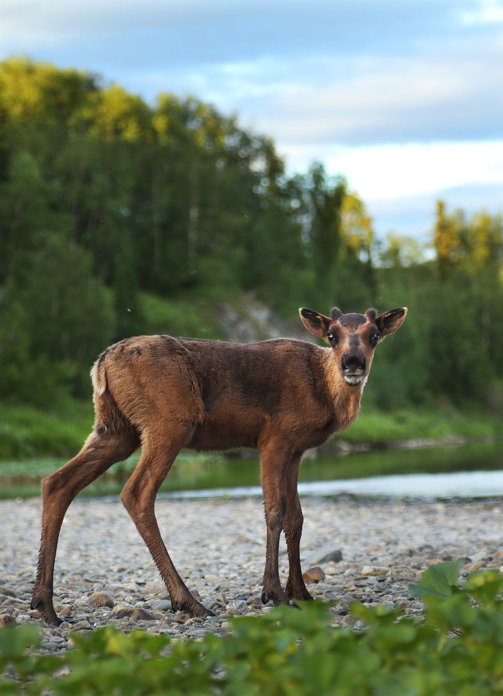 Photograph by Олег Фокин