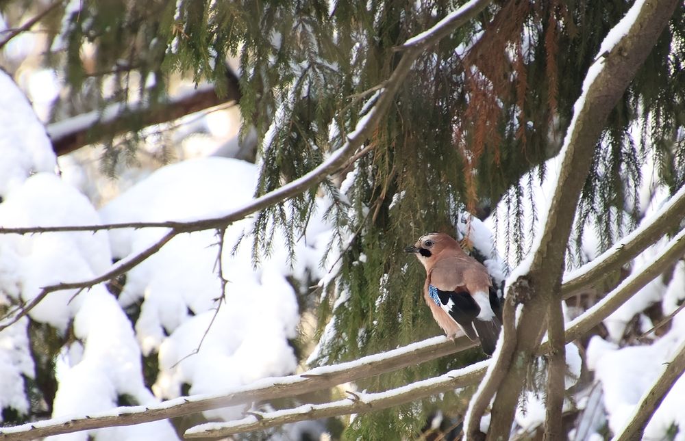 Photograph by Дмитрий Коновалов