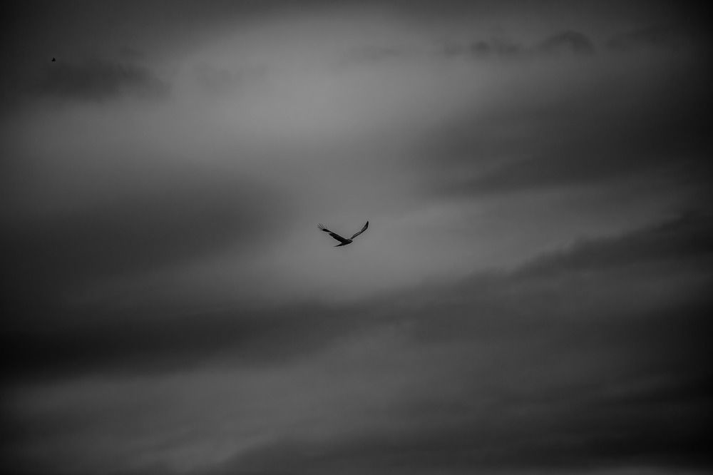 Photograph by Alexey Kovalevskiy