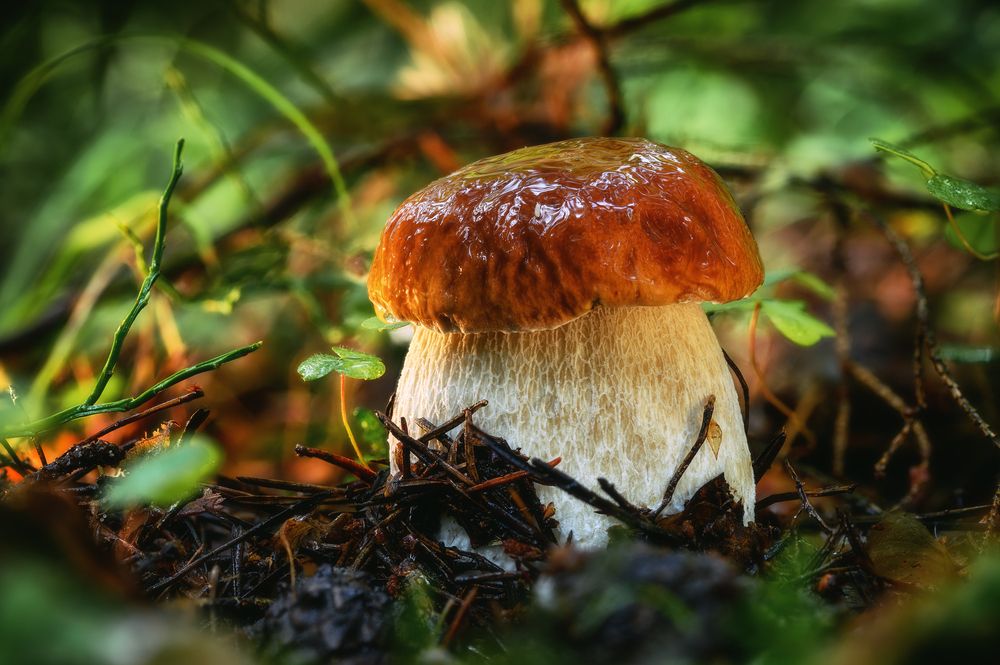 Photograph by Andrey Nuzhdin