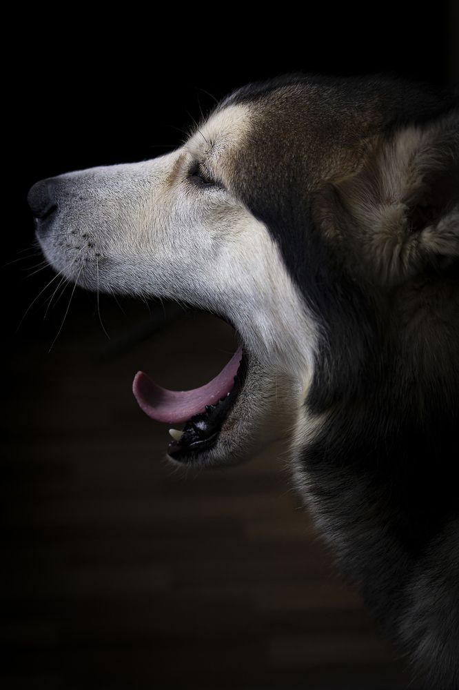 Photograph by Лев Постнов