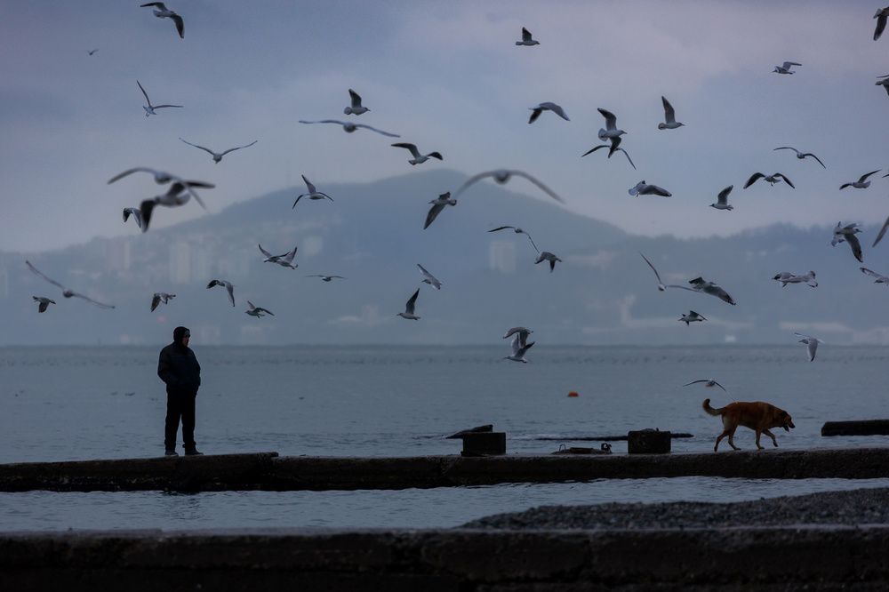 Никогда не одинок