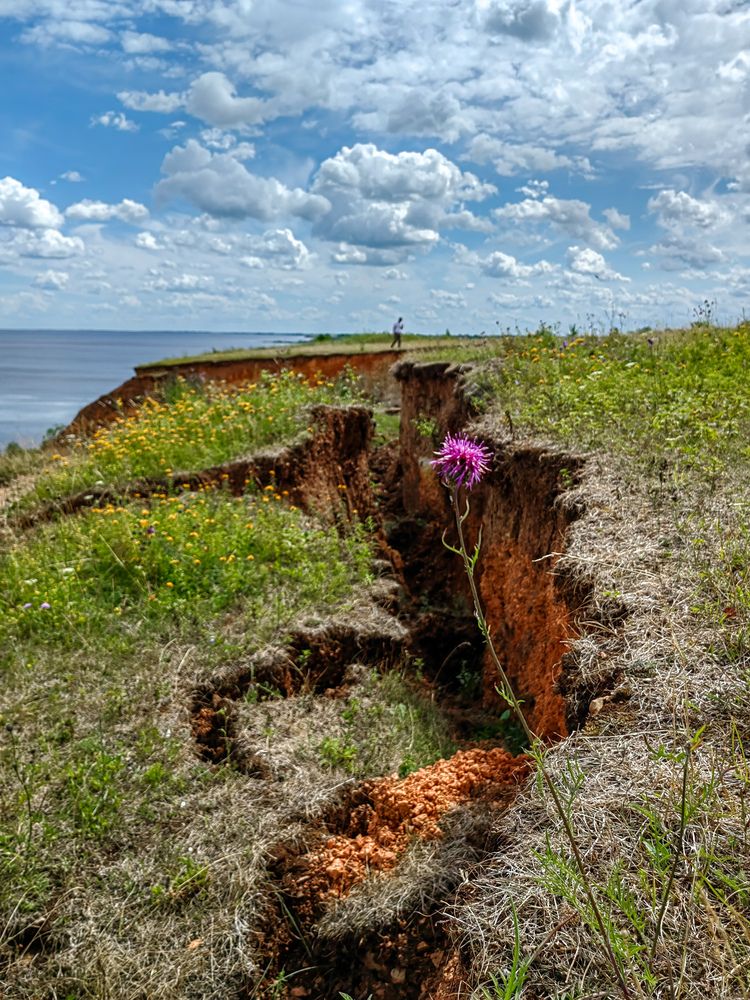 Photograph by Галина Беляева