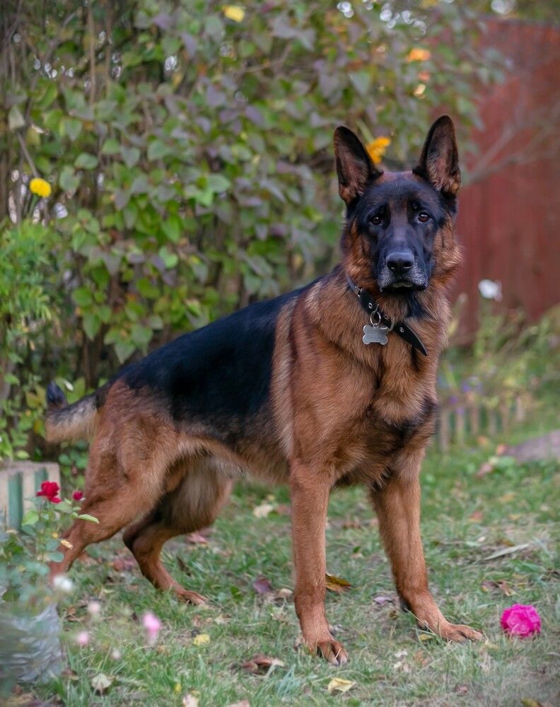 Photograph by Оксана Кудрявцева